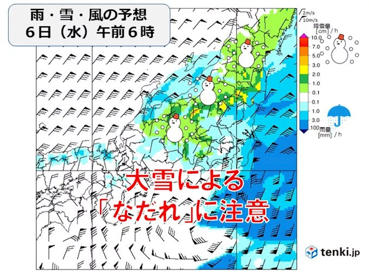 明日6日にかけ沖縄や九州から東北は雨や雪 関東甲信は大雪による「なだれ」に注意(気象予報士 牧 良幸 2024年03月05日)