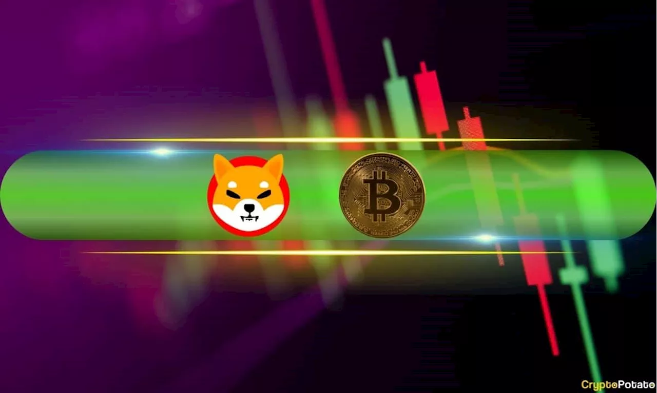 Bitcoin Market Cap Records New ATH, Shiba Inu’s Double Digit Run Continues (Market Watch)