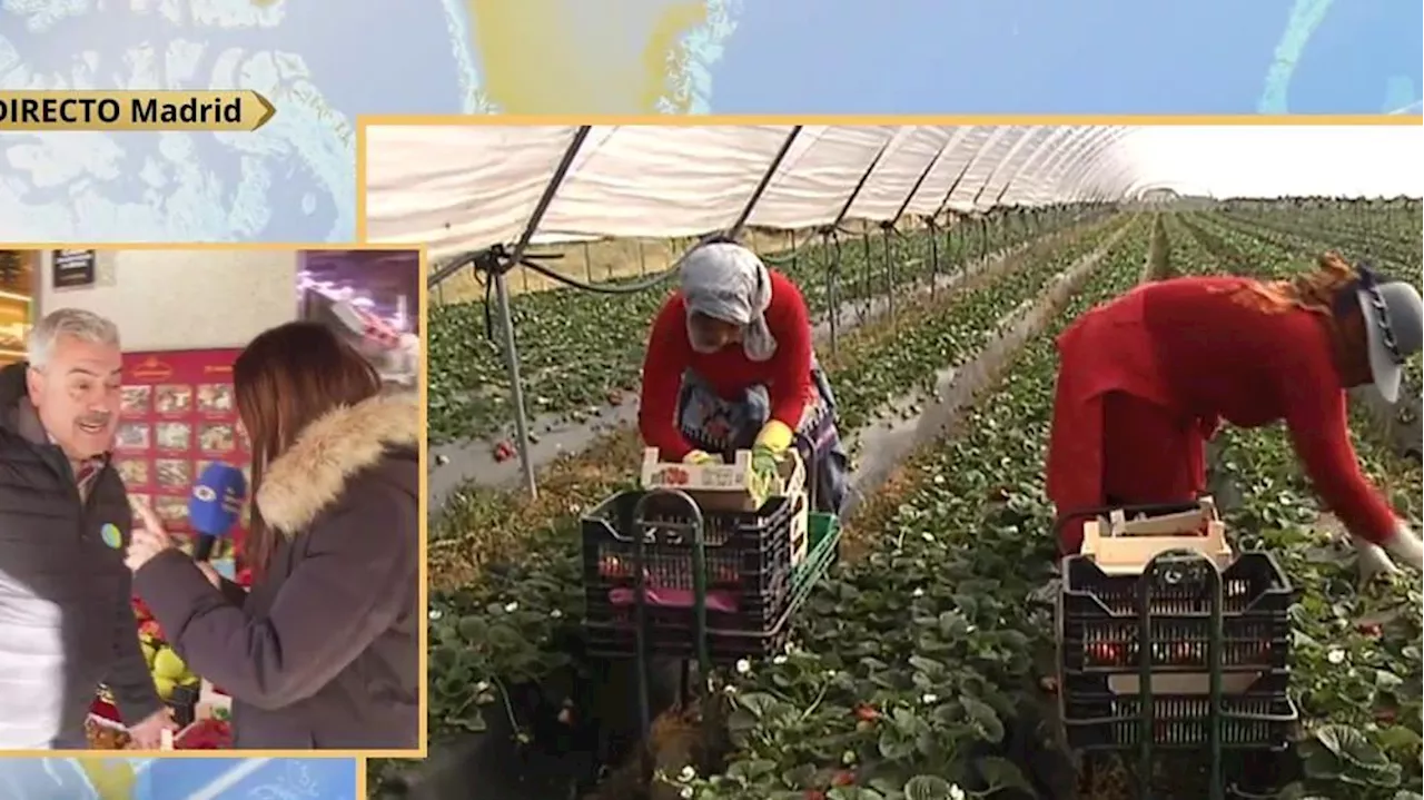 El truco para saber si las fresas son españolas o de Marruecos