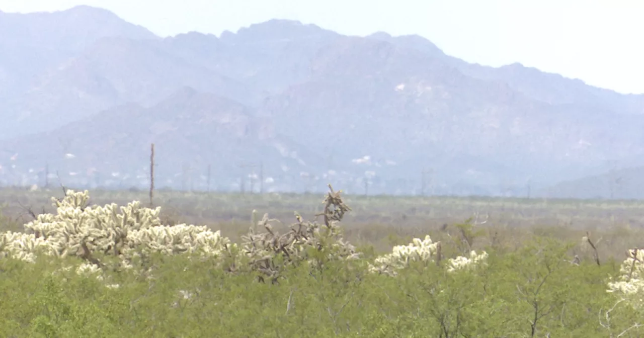 U.S. military plans to clean up old Sahuarita bomb range now near a high school