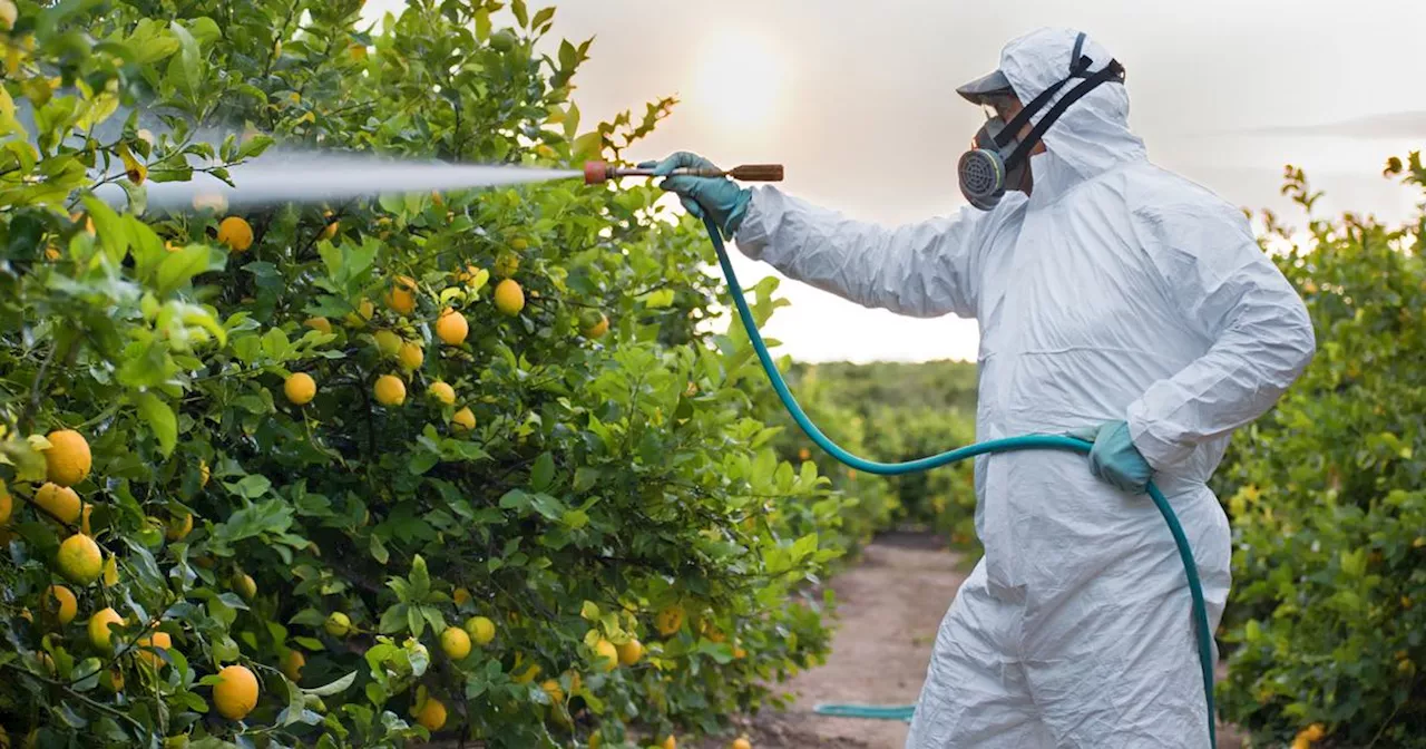 L'exposome : une étude franco-européenne sur les facteurs environnementaux et leur impact sur la santé