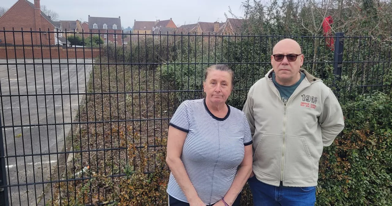 Threat to lie down on hedge halts workers cutting it down