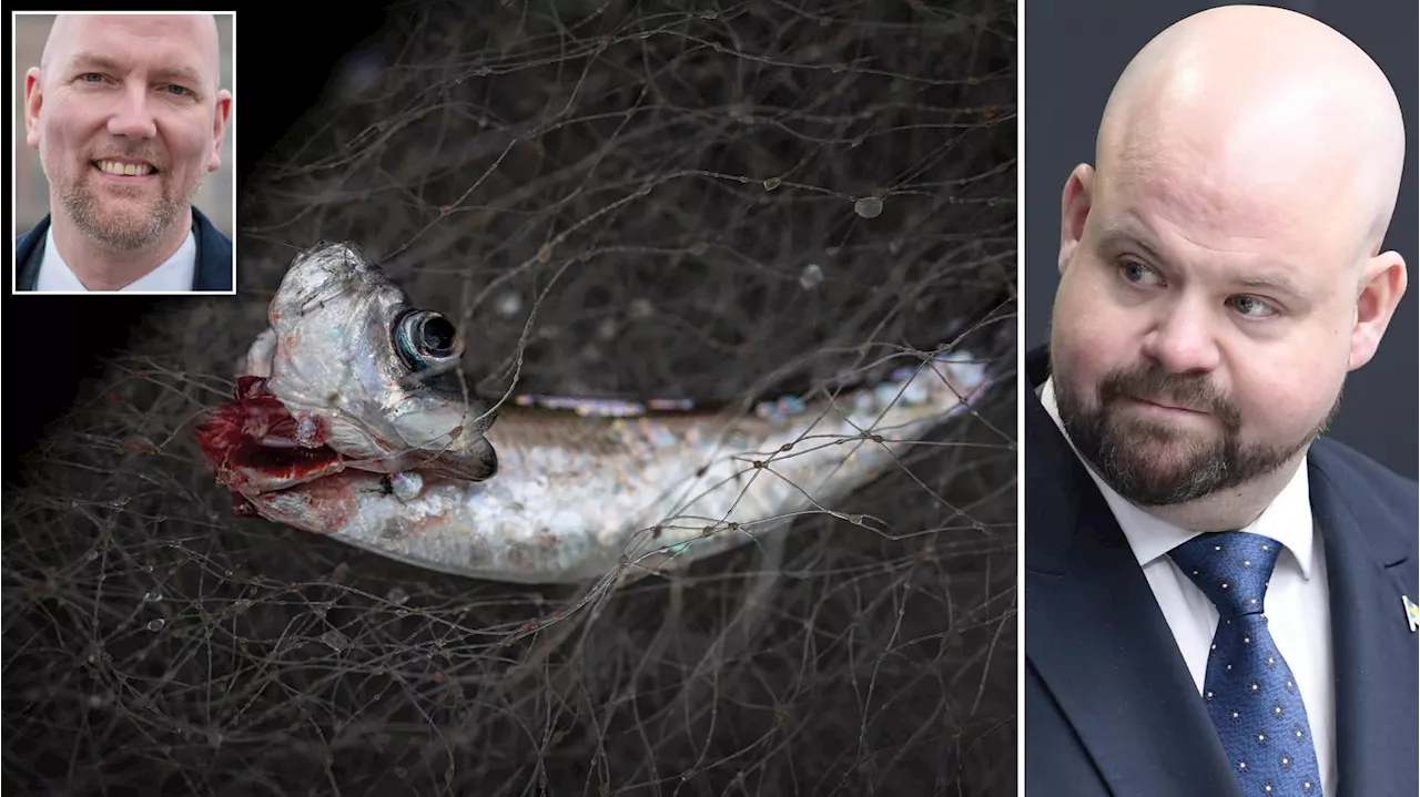 Östersjön töms på fisk med Kullgrens politik