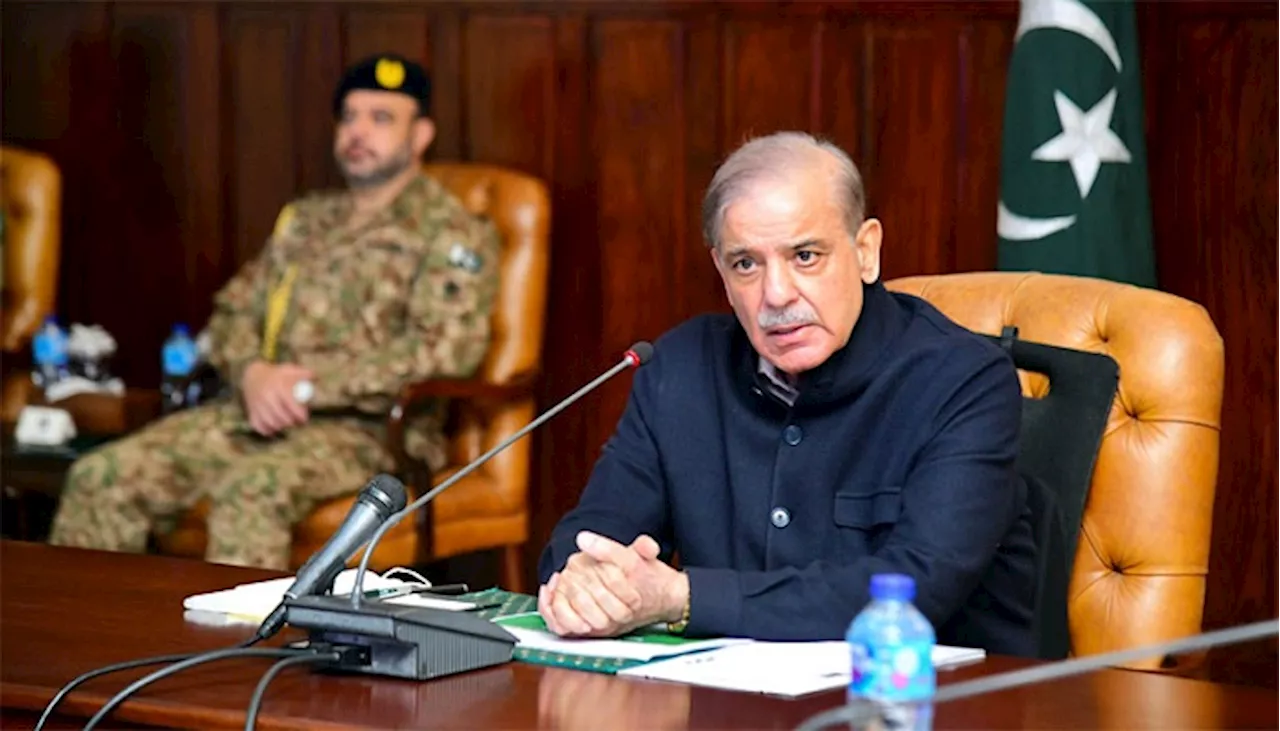 Shehbaz Sharif directs relief measures for rain and snowfall affectees