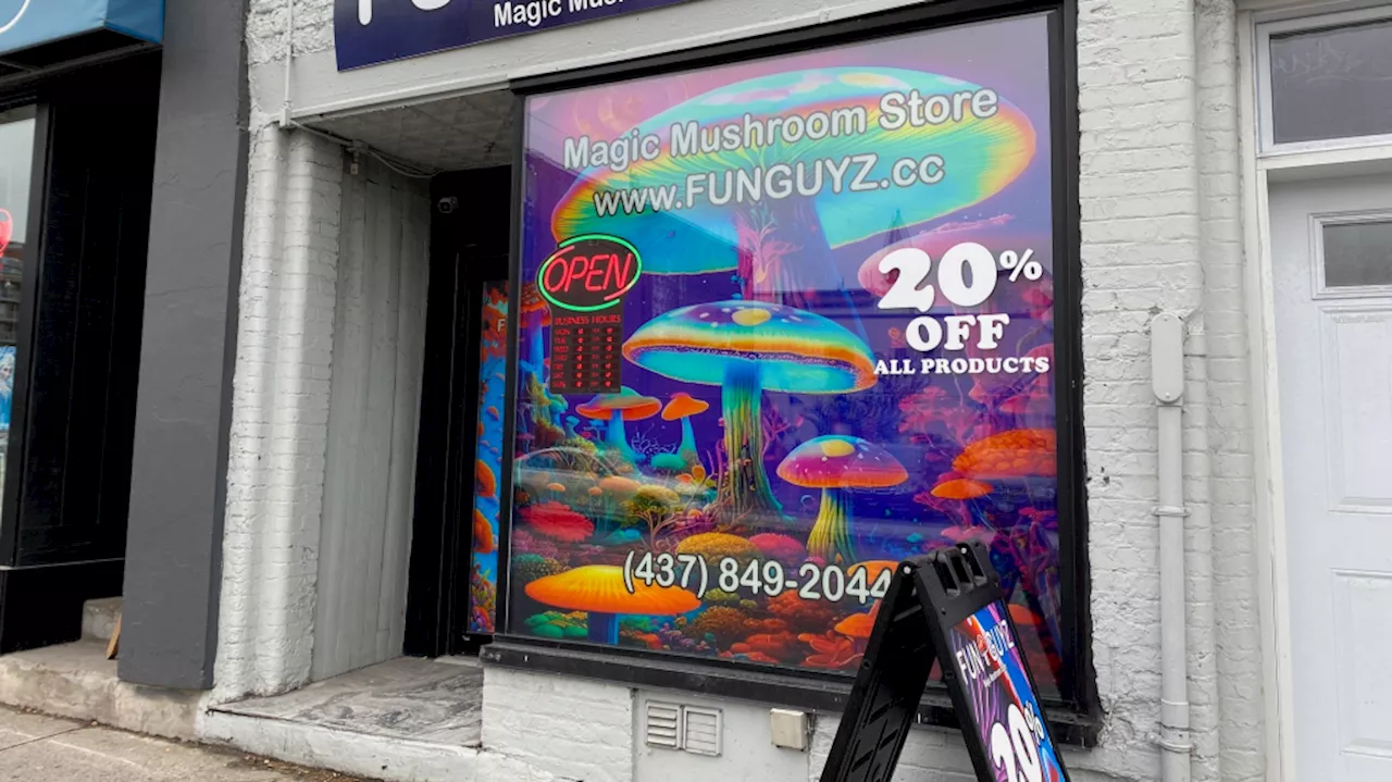 Illegal Magic Mushroom Shops Operating in Ottawa