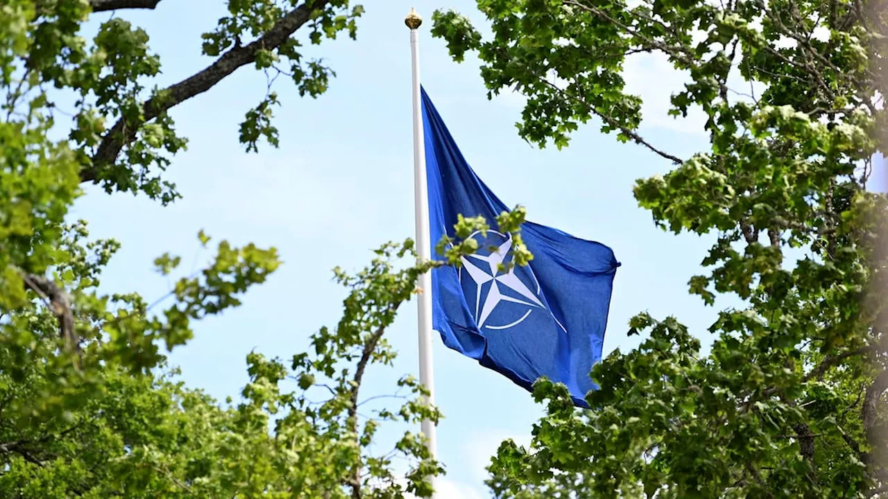 Ungerns Natogodkännande inlämnat till USA