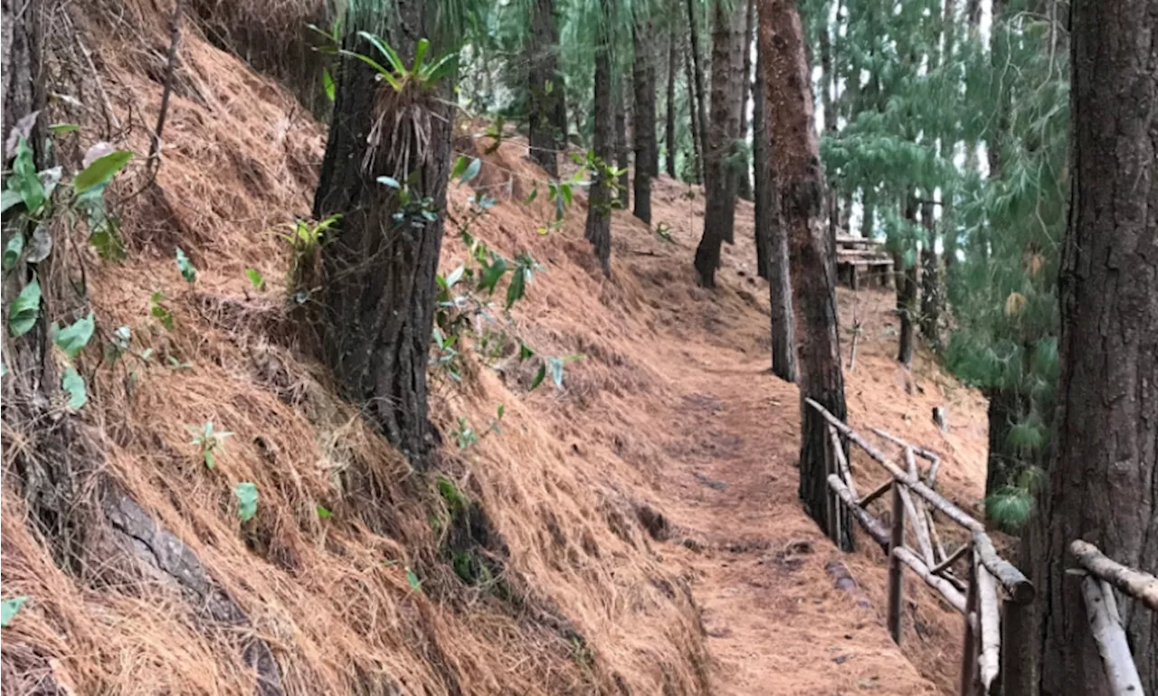 Cierran los senderos orientales de Bogotá para prevenir incendios