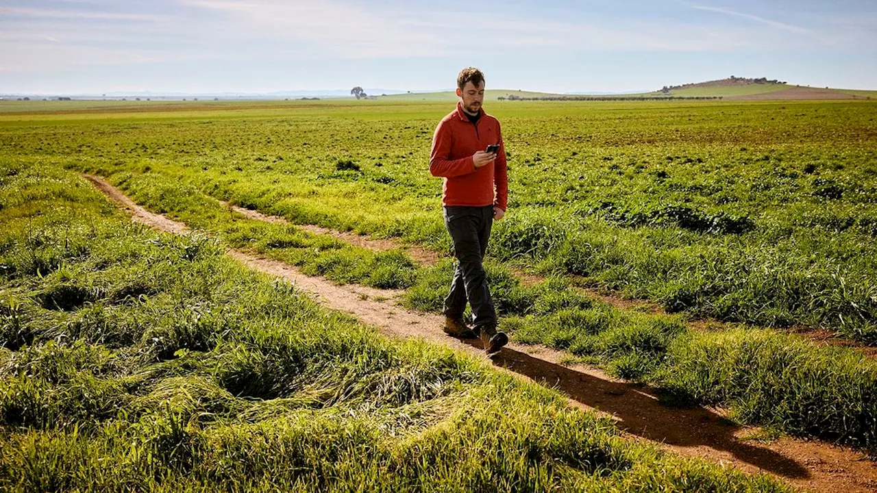 Del tractor a internet: Daniel Trenado, el agricultor que combate los tópicos sobre el campo