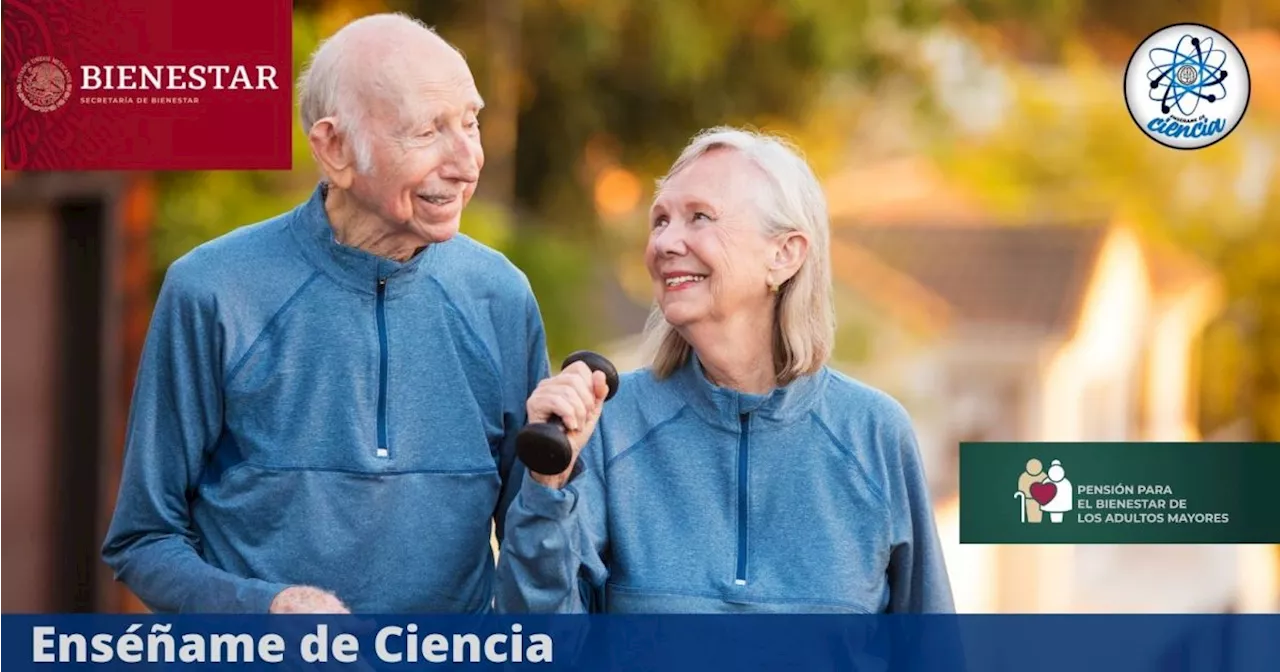 Pensión del Bienestar 2024 ¿Cuáles son los requisitos para recibir 6, 000 pesos? Esto sabemos