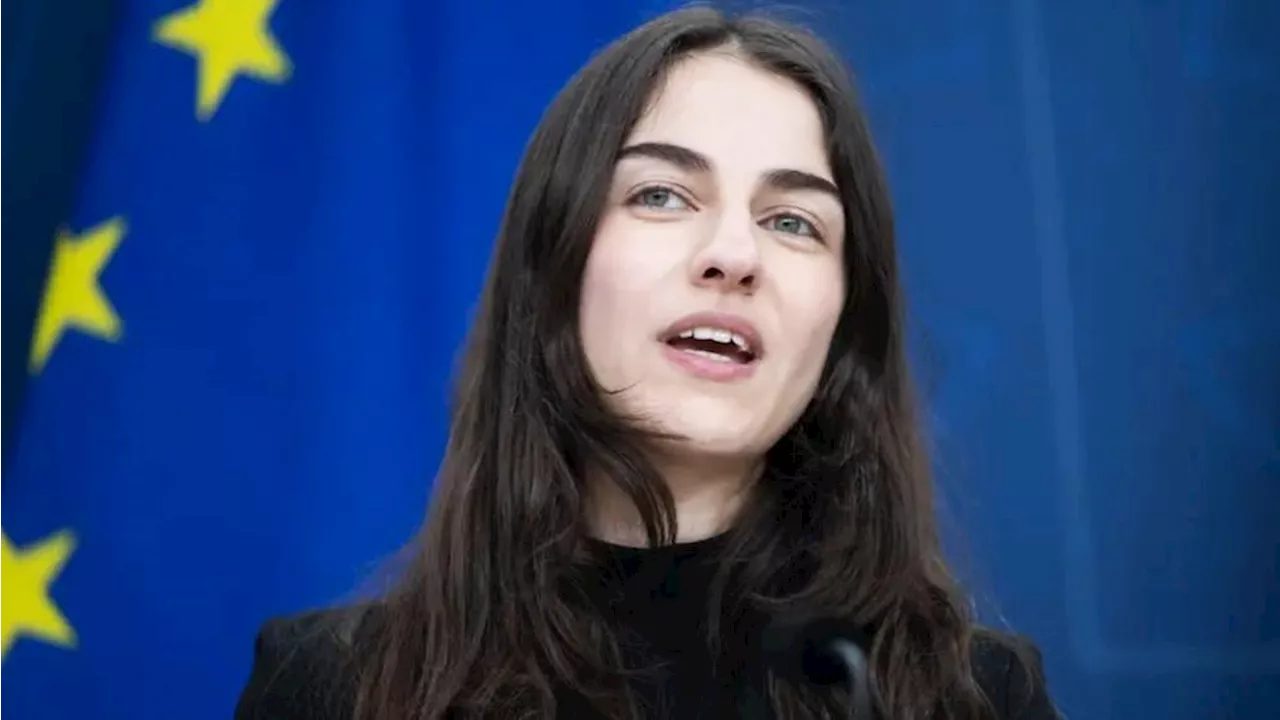 Pourmokhtari: ”Jag vill inte plocka bort flygskatten”
