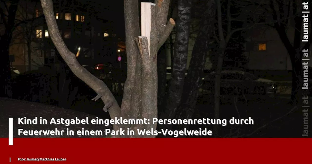 Kind in Astgabel eingeklemmt: Personenrettung durch Feuerwehr in einem Park in Wels-Vogelweide