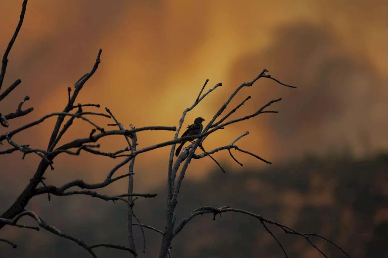 The world just experienced the hottest February on record