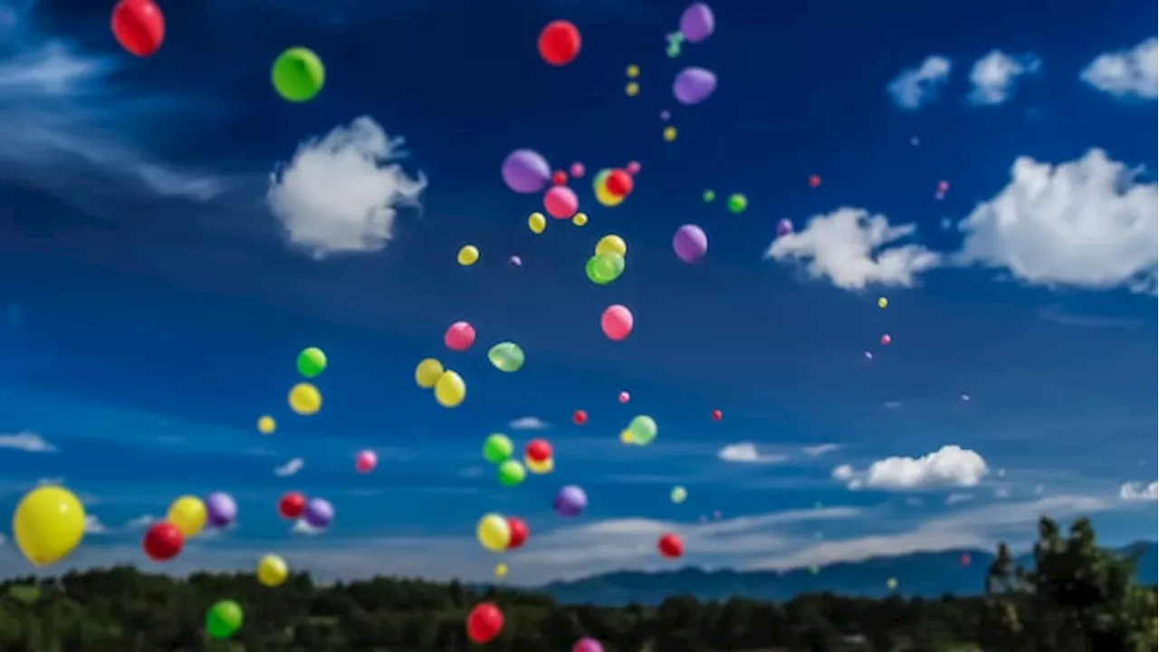 Florida House passes bill prohibiting balloon releases to protect wildlife and environment