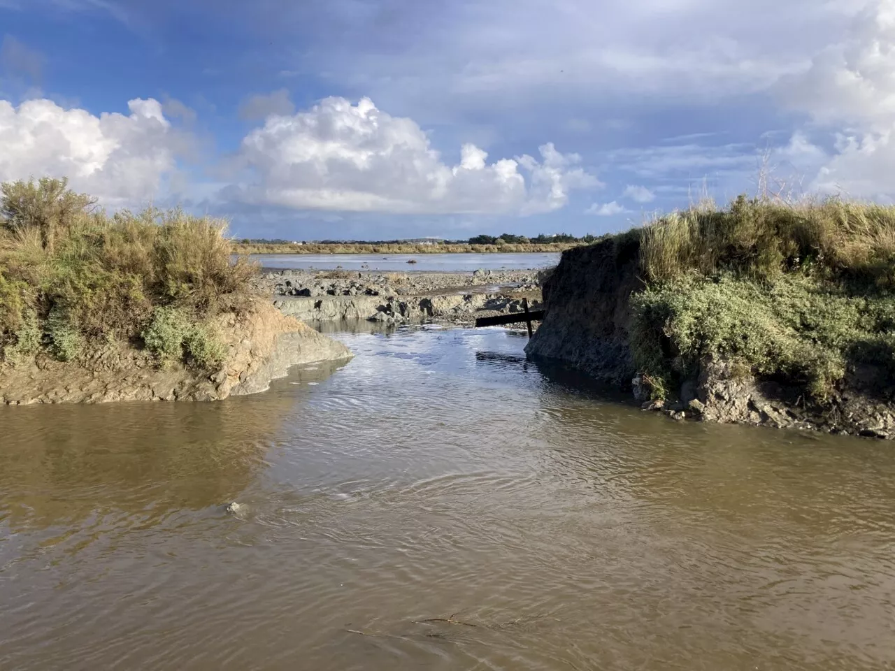 Grandes marées en Loire-Atlantique : pour les paludiers, 'il faut accepter le risque de submersion'