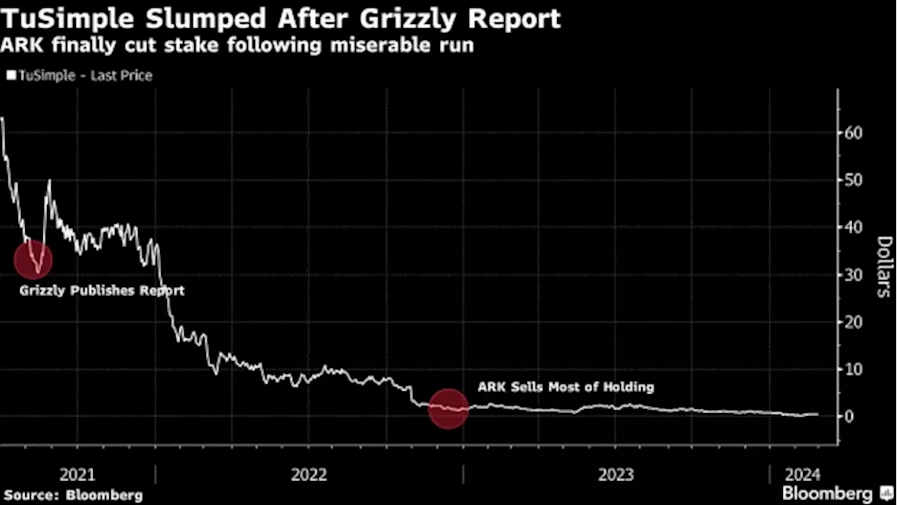 Big Japan Trade Springs Back to Life as BOJ Rate-Hike Bets Grow