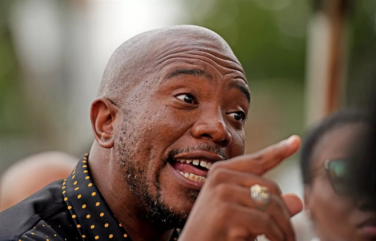 Mmusi Maimane has the last laugh as his party, Bosa, surpasses IEC signature requirement