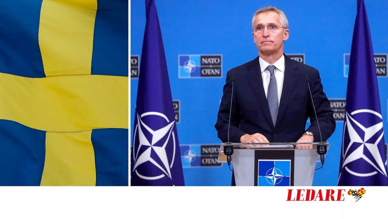 6 argument mot Nato – men inget övertygar