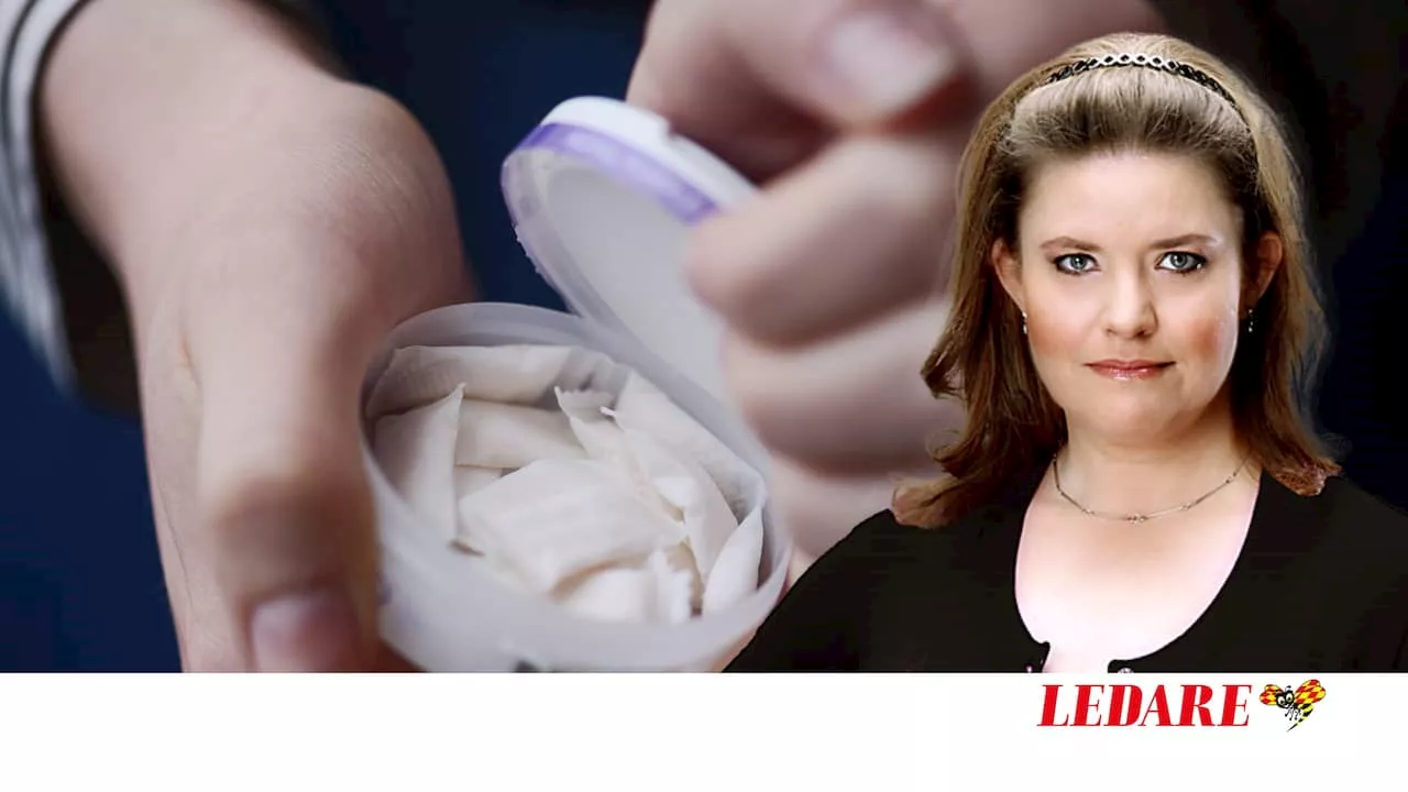 Paniken kring vitt snus – vad är det för larv?