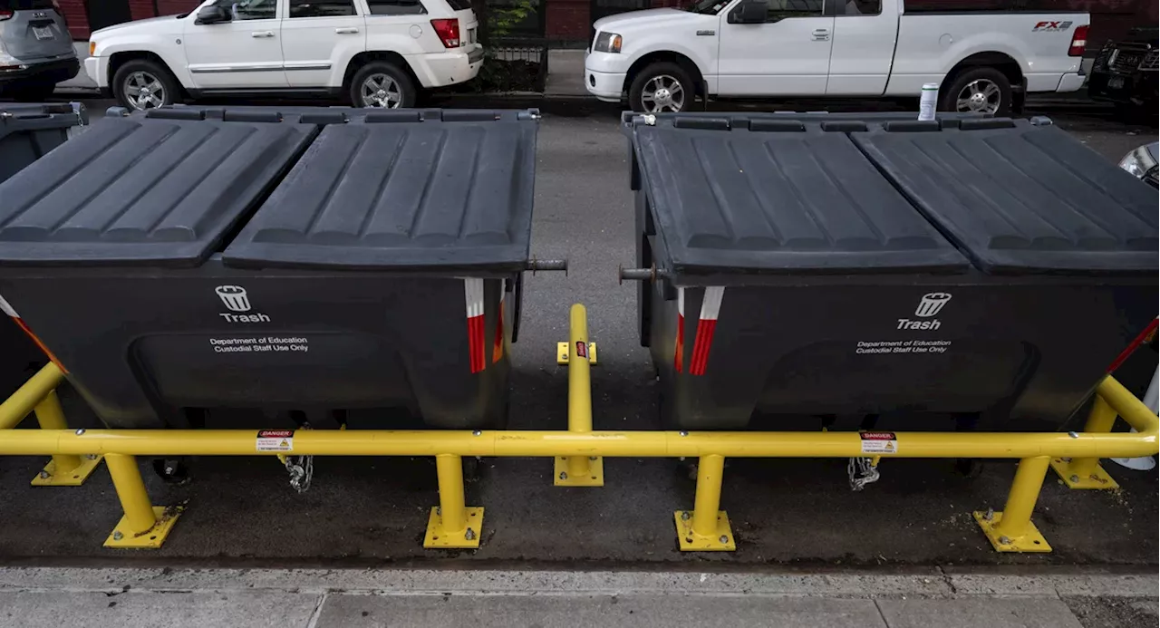 NYC seeks 'European-style' trash containers to keep streets clean and rats at bay