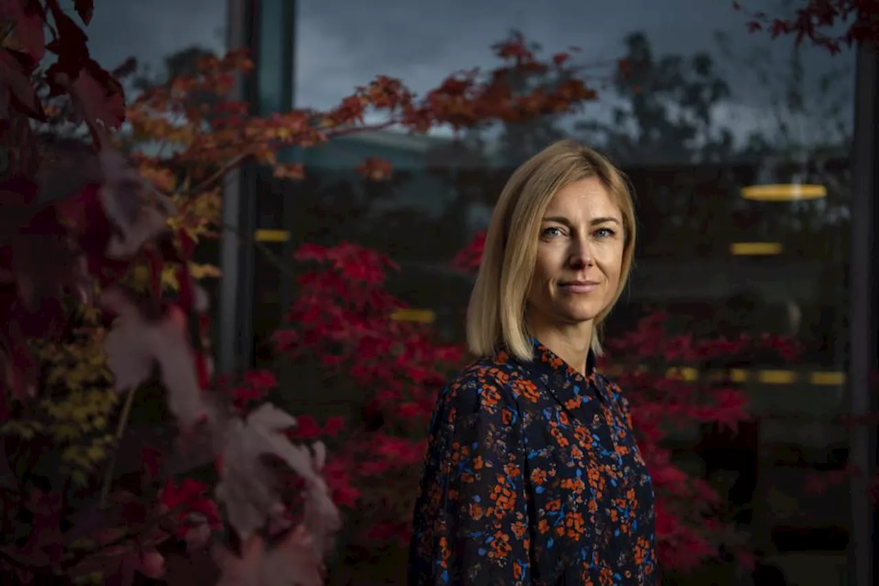 Danske virksomheders cloud-strategi har slået fejl: »Mange har fundet ud af, hvad det i virkeligheden koster«