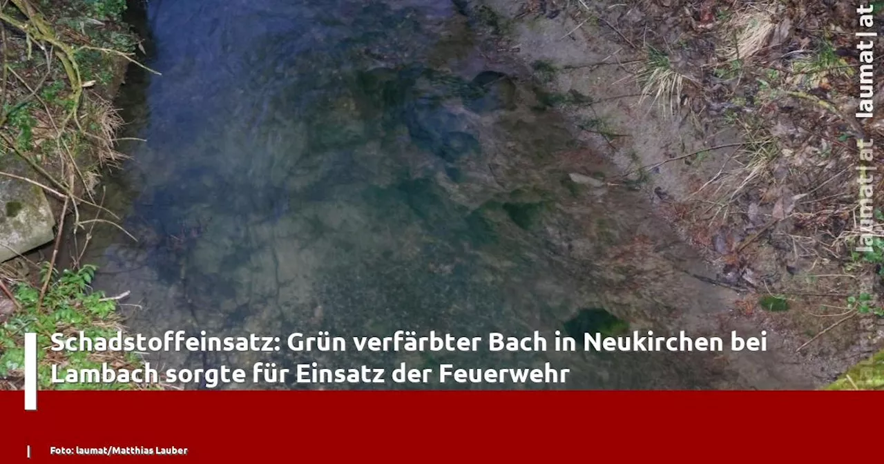 Schadstoffeinsatz: Grün verfärbter Bach in Neukirchen bei Lambach sorgte für Einsatz der Feuerwehr