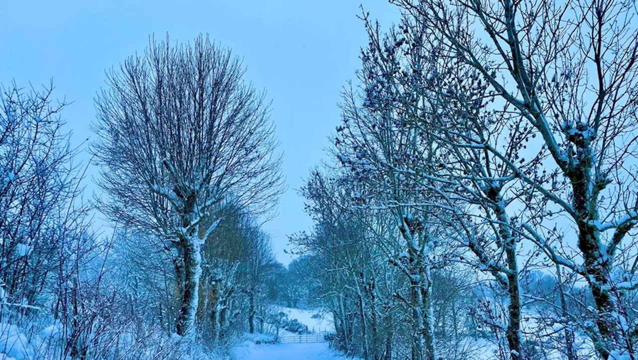 Cumuls de pluies, neige et verglas, vents violents, la Lozère est placée en vigilance jaune