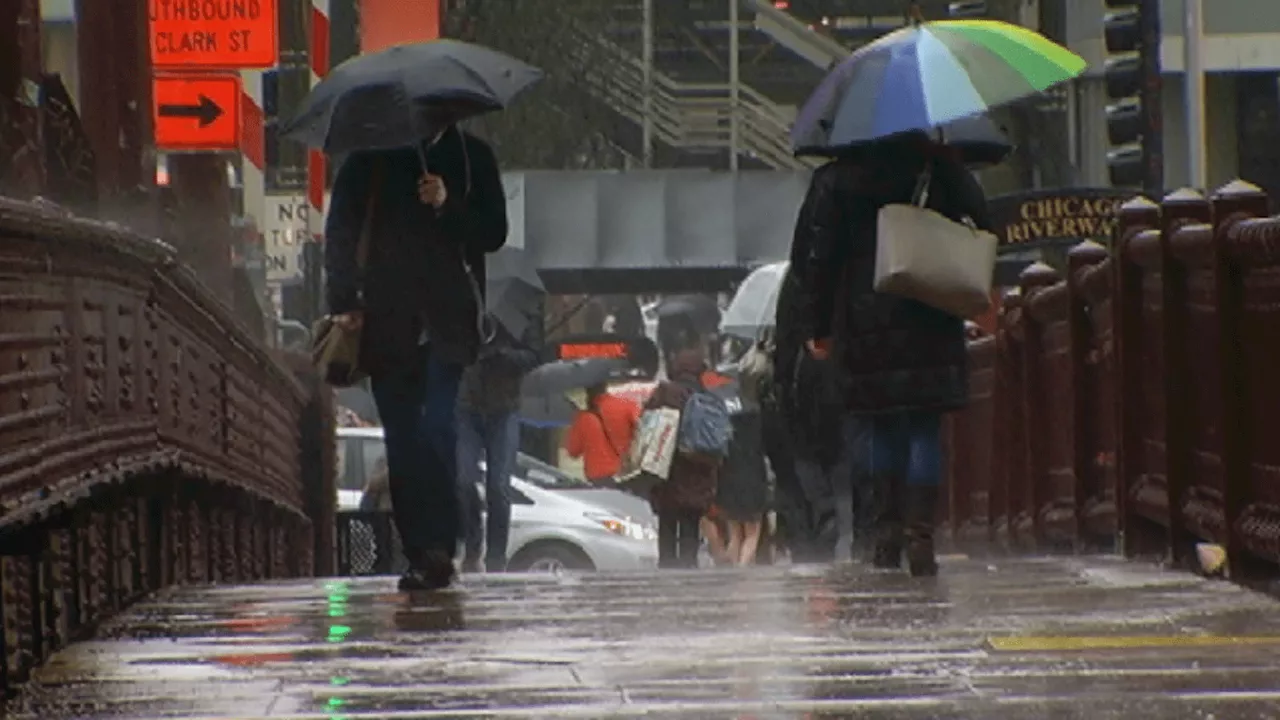 Chicago Forecast: Rainy, dreary day with all-day showers; chance for brief, wet snow overnight