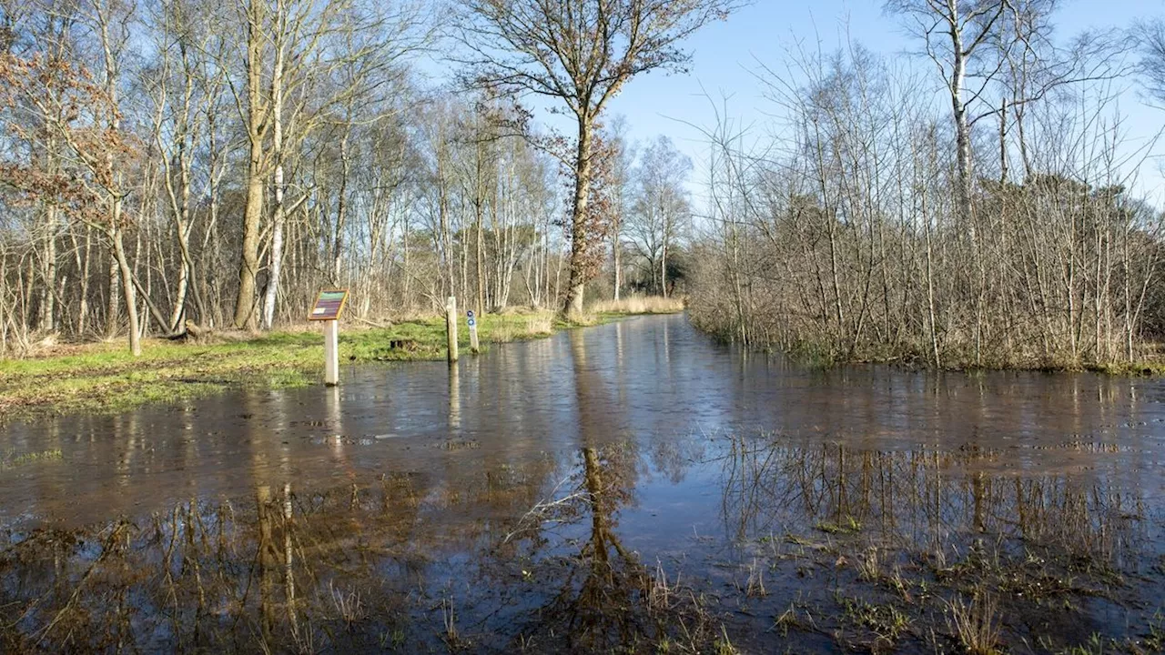 Oplossing in de maak voor waterballet op kruispunt Holtingerveld