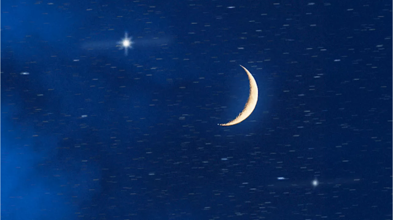 The New Moon in Pisces Wants You to Forgive, But Not to Forget