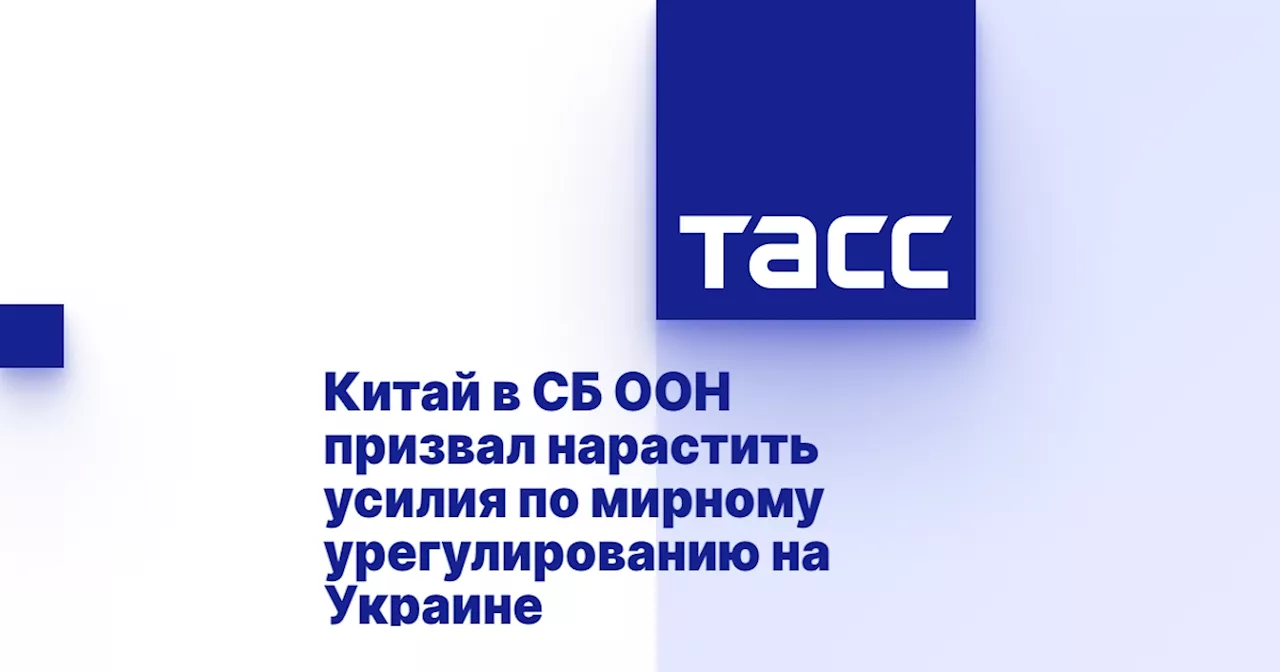 Китай в СБ ООН призвал нарастить усилия по мирному урегулированию на Украине