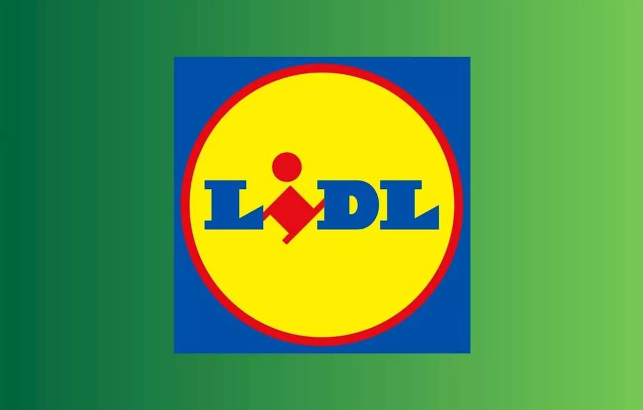 Lidl : Cet accessoire à moins de 16 euros devient la star des produits de maison