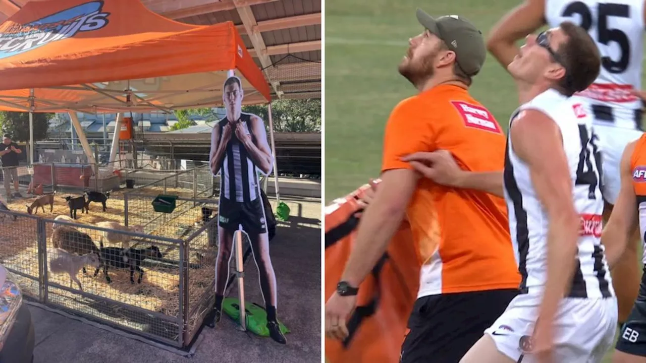 Rivalry between GWS Giants and Collingwood continues with new chapters