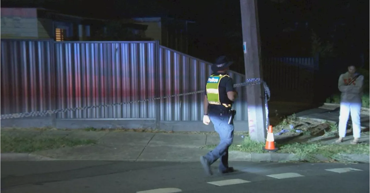 Mother and daughter killed in stabbing and police shooting in Melbourne