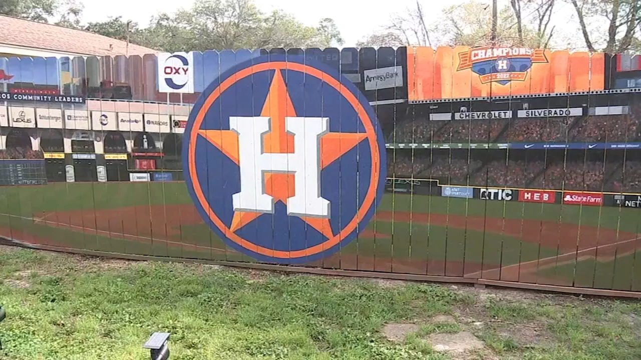 Astros superfan hires artist to paint Minute Maid Park on backyard fence