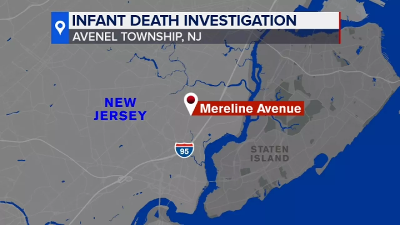 Family dog attacks, kills baby and injures mother in New Jersey home: police