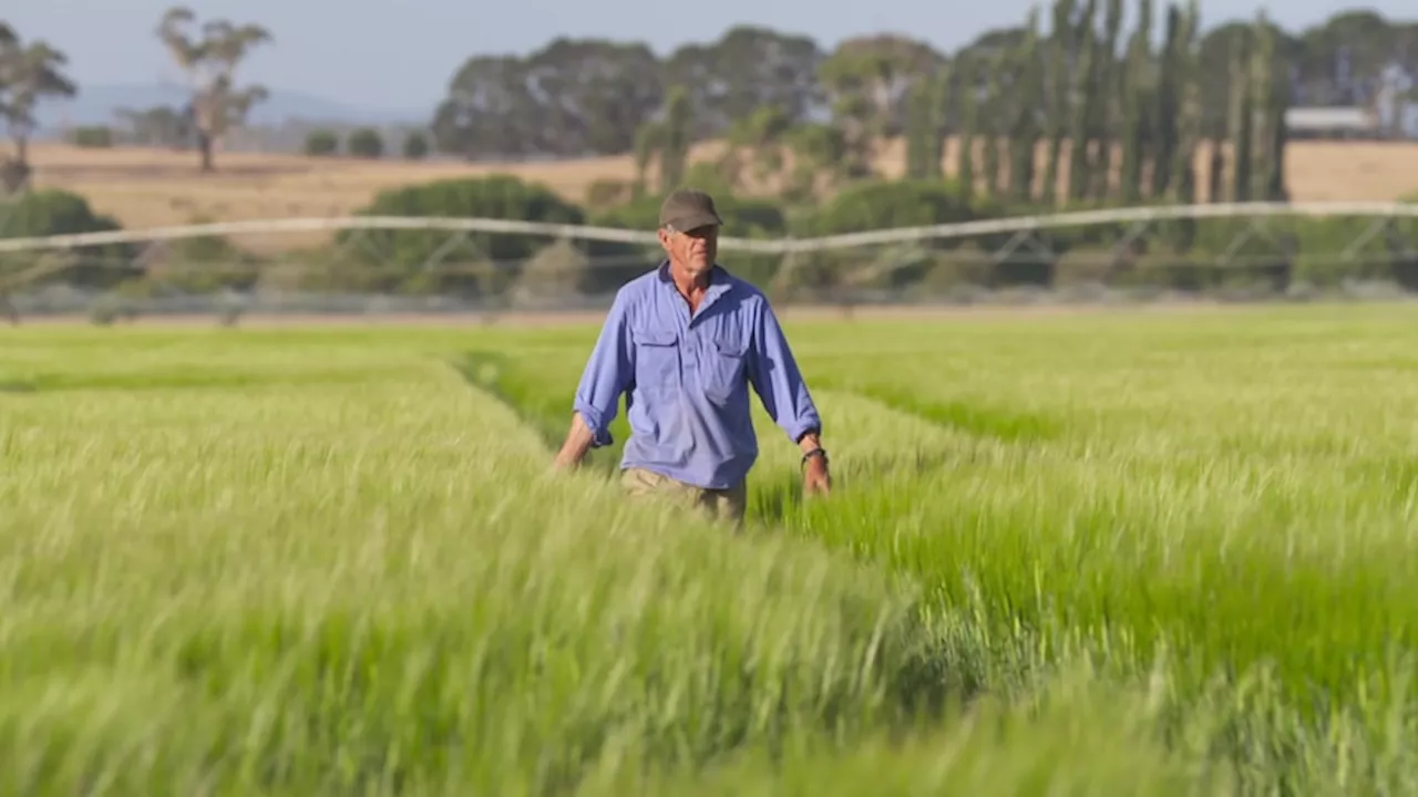 Tasmanian farmers fix water woes by creating Macquarie Settlement Pipeline Partnership