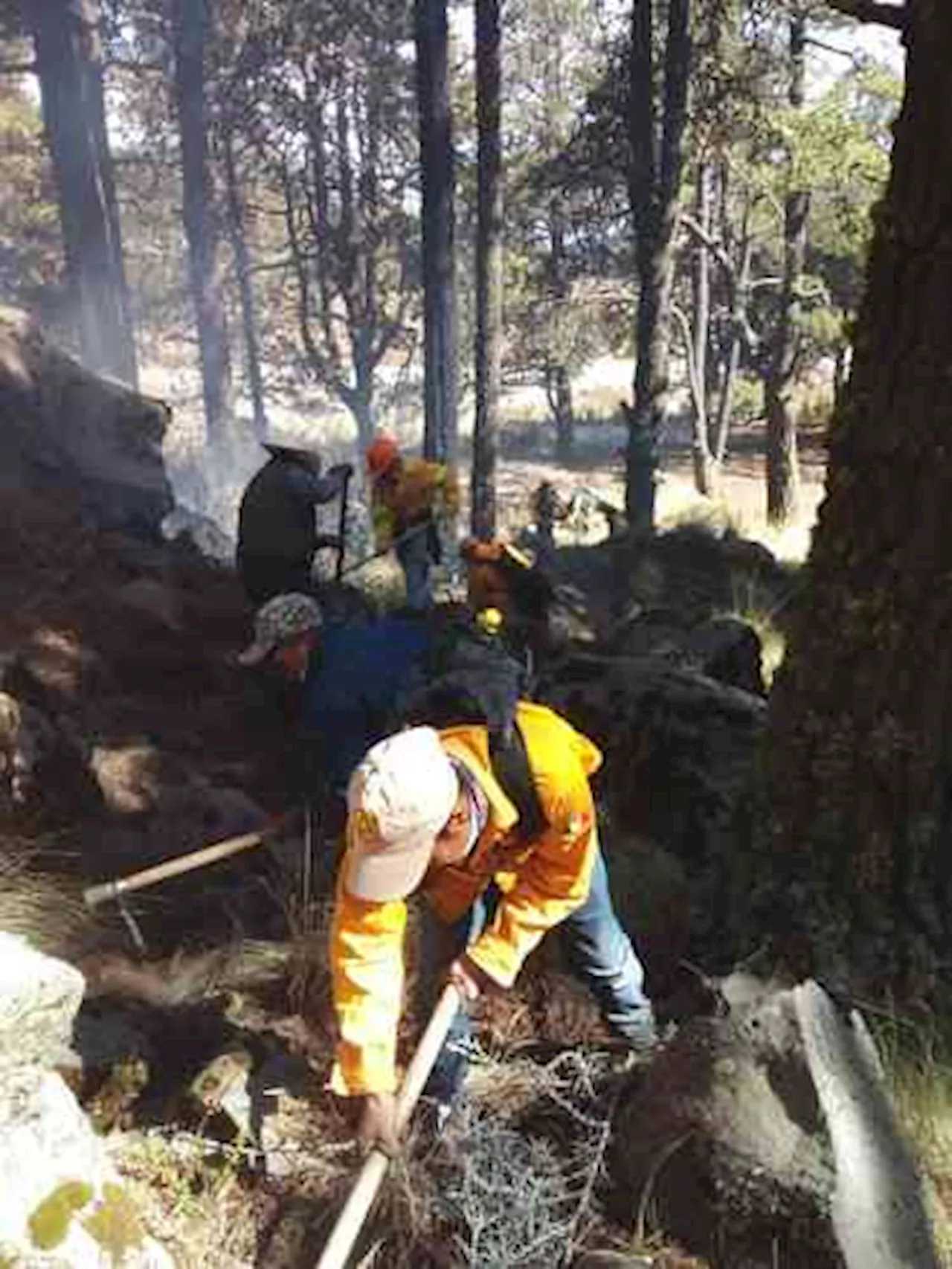 Combaten incendio en faldas del Pico de Orizaba