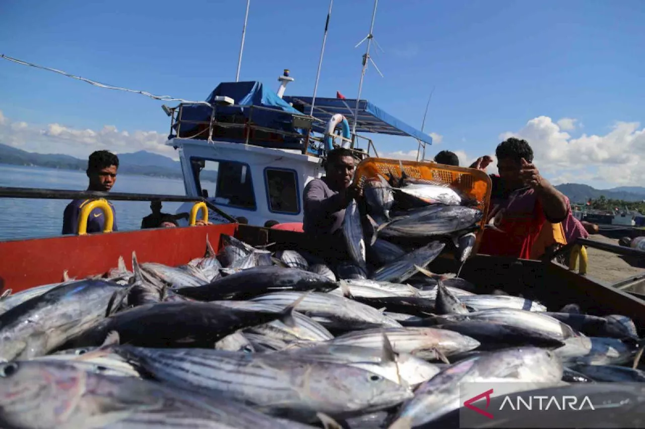 Penangkapan ikan terukur untuk produktivitas dan keberlanjutan