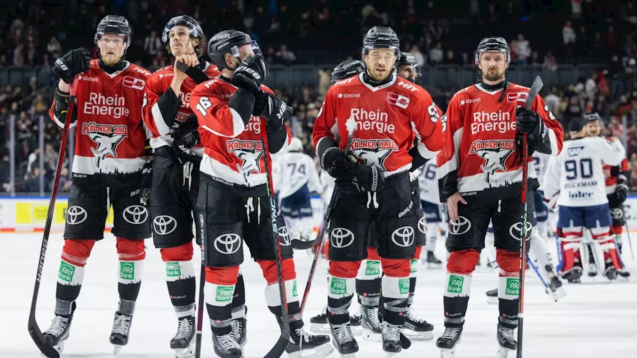 Adler starten mit neuer Zuversicht in Eishockey-Playoffs