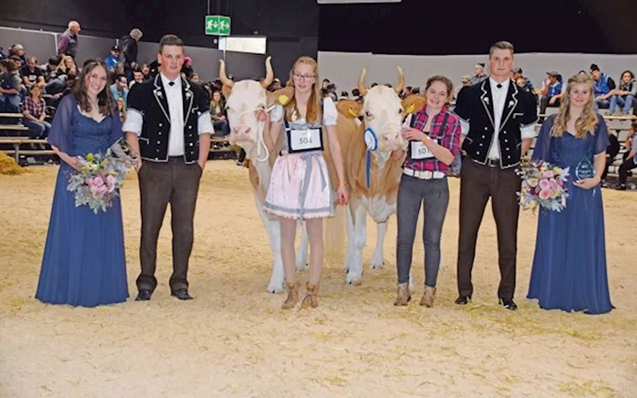 Mehr als eine Schönheit im Ring an der Berner Junior-Expo