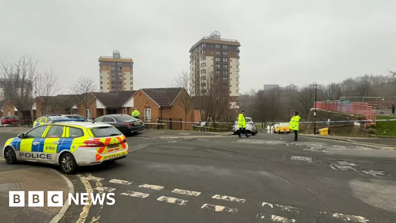 Sheffield: Murder probe after man, 24, dies in park