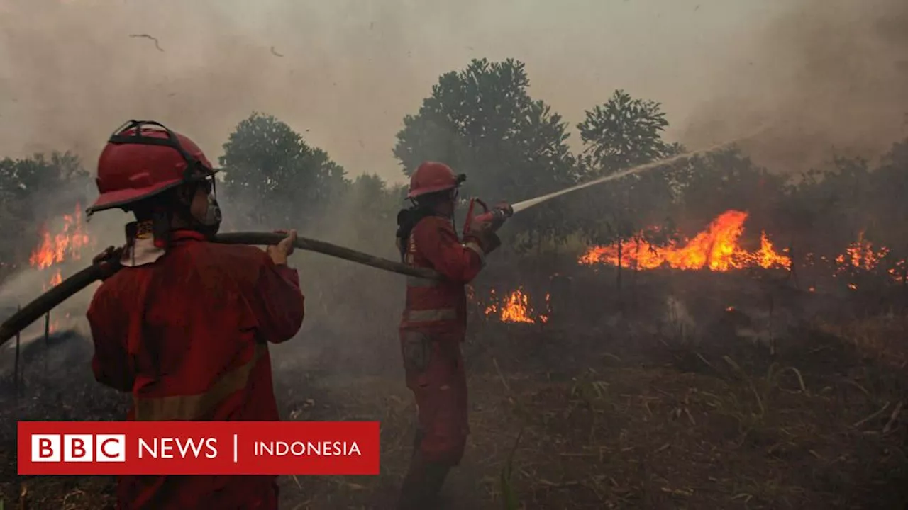 Kebakaran hutan: Kisah emak-emak relawan pemadam karhutla di Kalimantan Barat