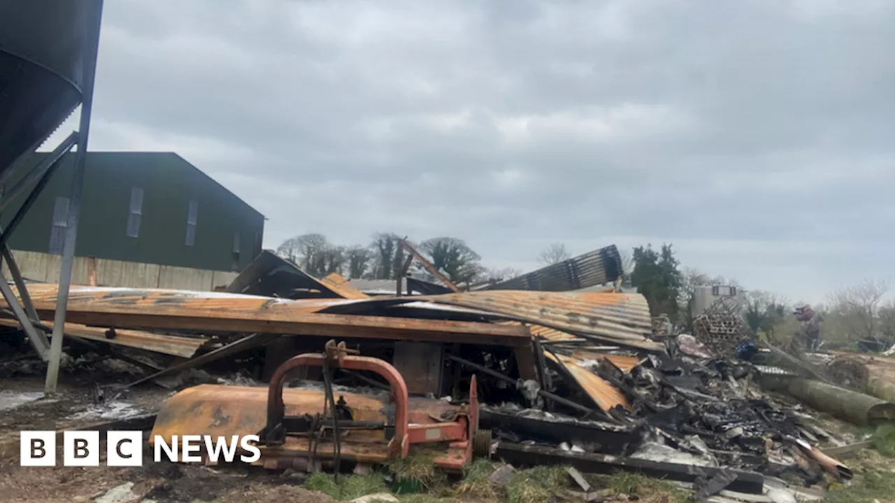 Dungannon fire: Pigs killed in farmyard building blaze