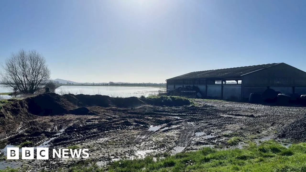 Somerset Levels farming may become 'unsustainable' due to floods