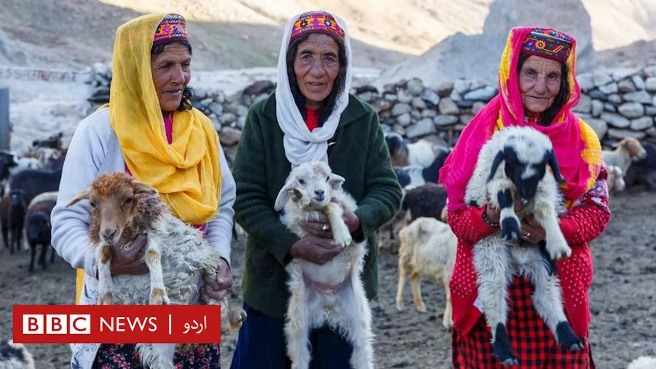 قراقرم کے خاموش اور پُرخطر راستوں کی مسافر وہ آخری مویشی بان خواتین جن کی زندگیاں کسی پہیلی سے کم نہیں