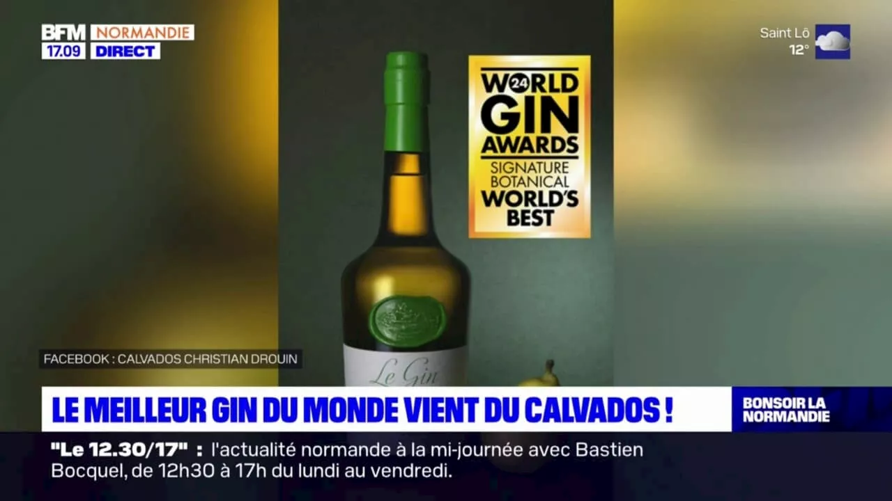 Le meilleur gin du monde vient du Calvados!