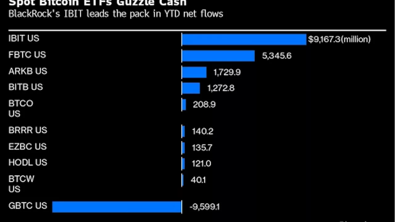 BlackRock’s Bitcoin ETF Draws Record Influx as Coin Tops $69,000