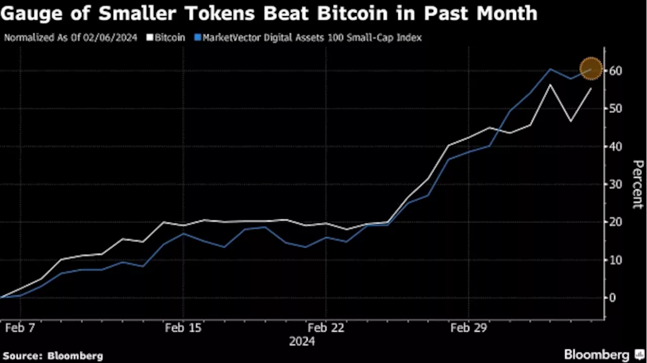 Crypto’s $800 Billion Rally Widens Beyond Record-Setting Bitcoin