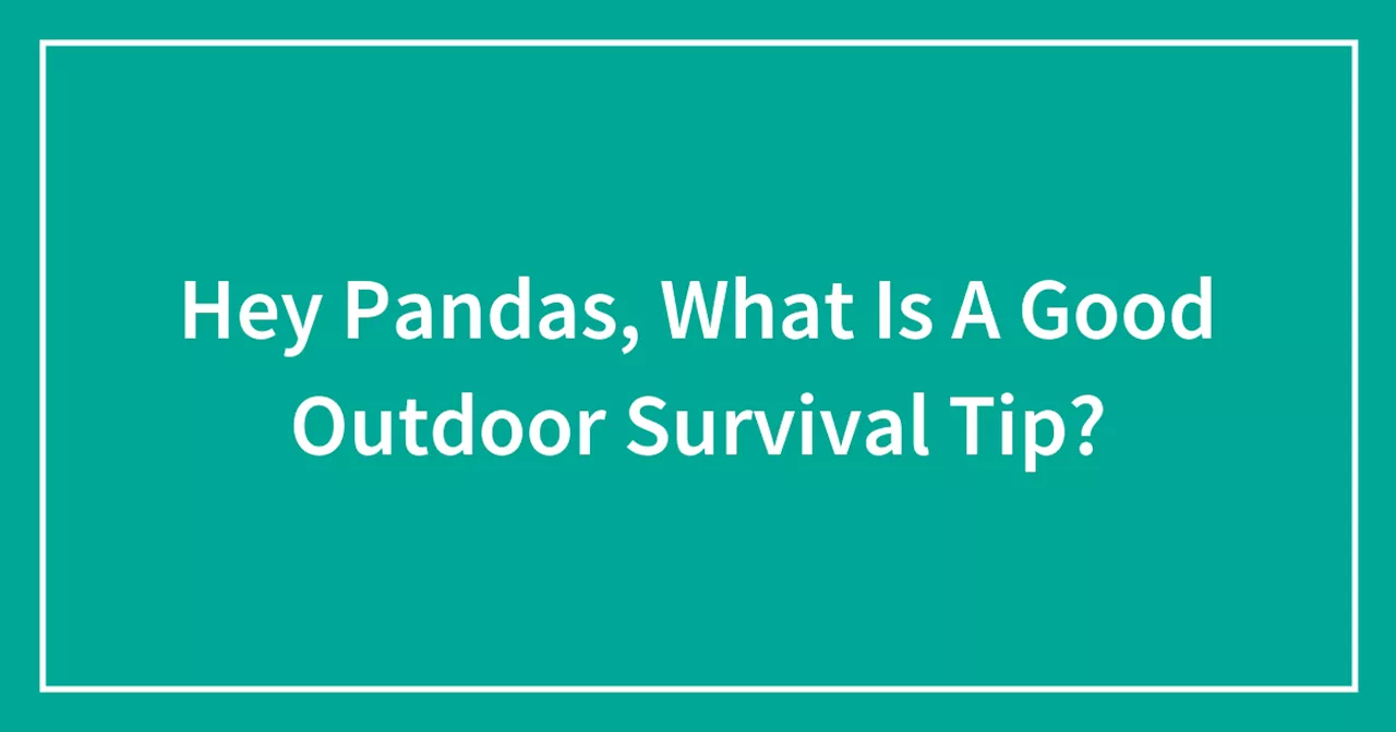 Hey Pandas, What Is A Good Outdoor Survival Tip?