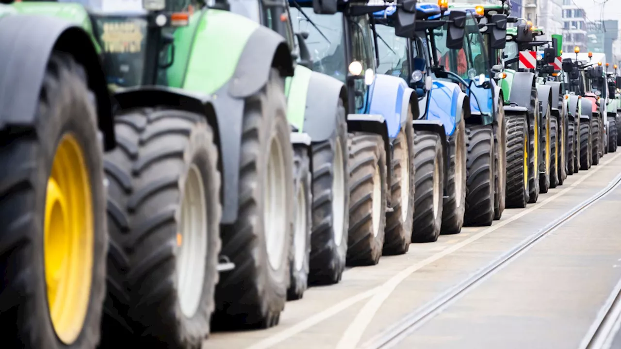 Bauern signalisieren Kompromissbereitschaft beim Agrardiesel